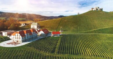 Weintour - Slow Food Travel