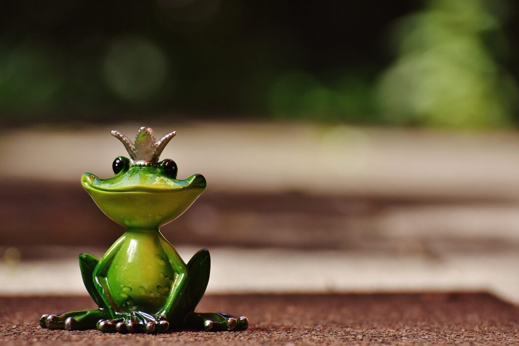 Die Froschkönigin