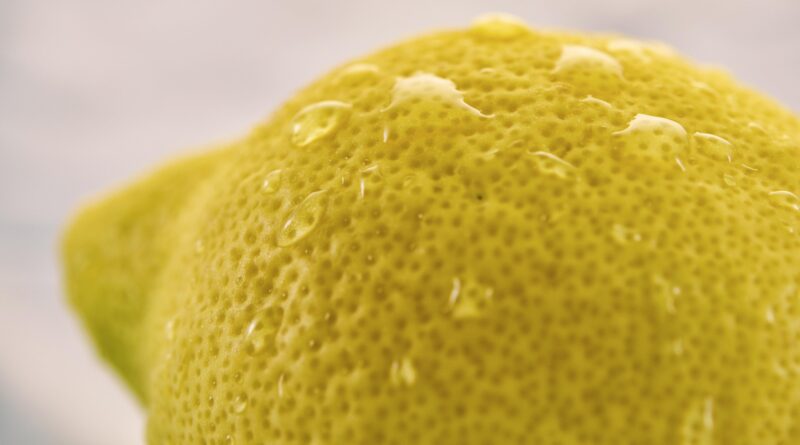 Bio Zitrusgarten Falk am See