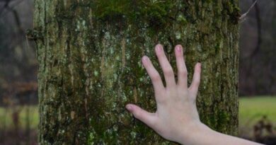 Familienabenteuer kreuz und quer