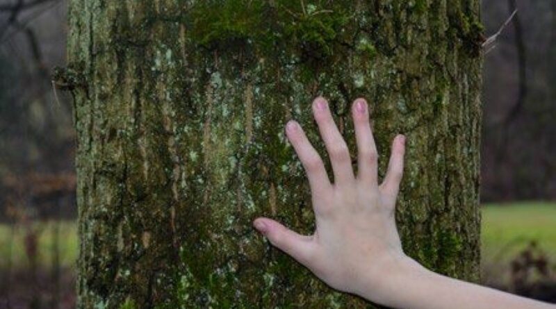 Familienabenteuer kreuz und quer