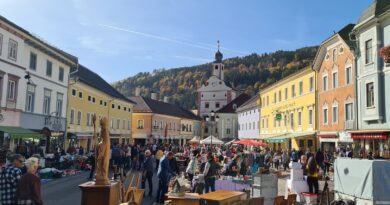 5. Stadtflohmarkt in Gmünd