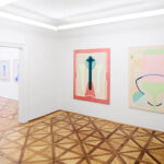 Iris Kohlweiss: Die Haut der Dinge