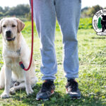 Leinengespräch mit Birgit & Rene Franc