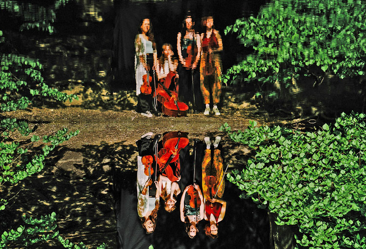 Noreia String Quartet