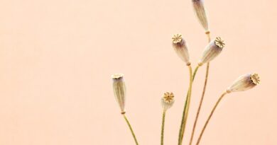 Natur trifft Kreativität