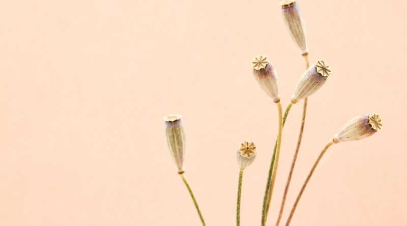 Natur trifft Kreativität