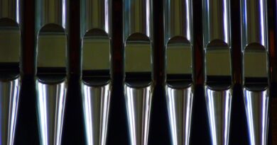 Organ meets Blues