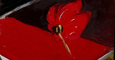 Alex Amann, Deux Rouges, 2023, Öl auf Holz, 16 x 22 cm Foto F. Neumüller