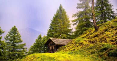 Du bist das Land