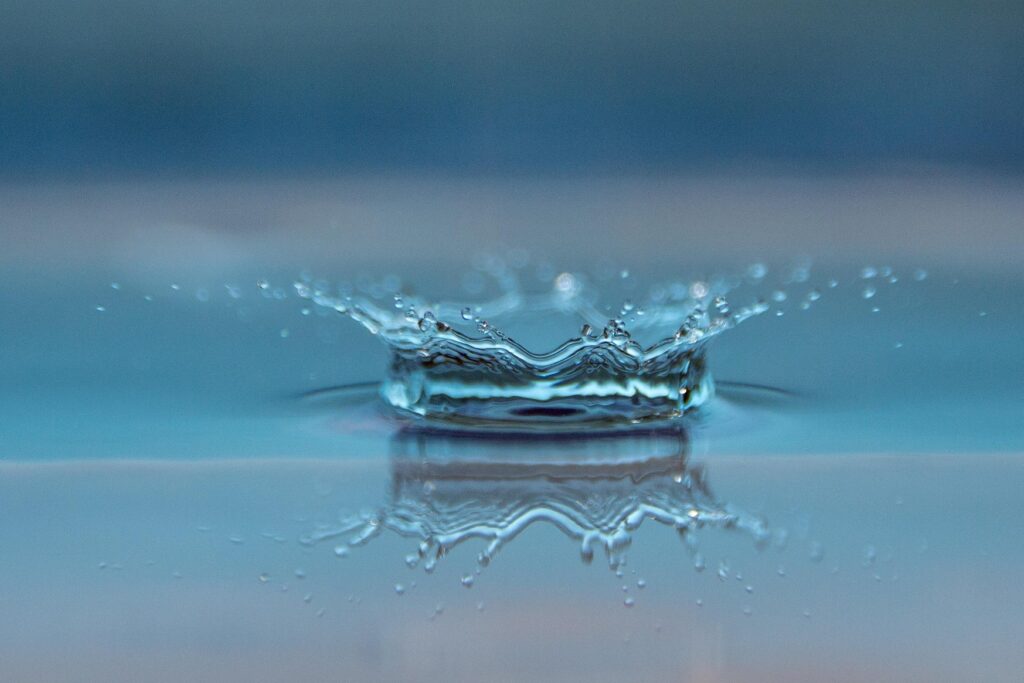 Im Spiegel dankbarer Erinnerung