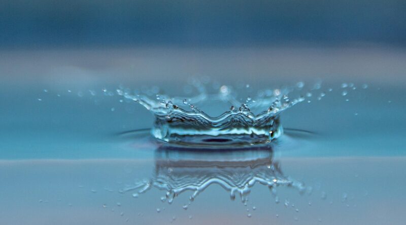 Im Spiegel dankbarer Erinnerung