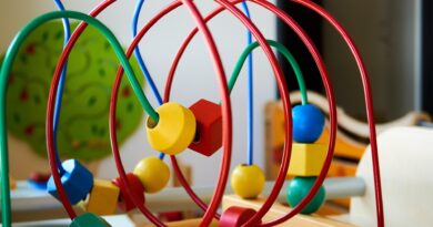 Elementarpädagogik: über die Schulter schauen