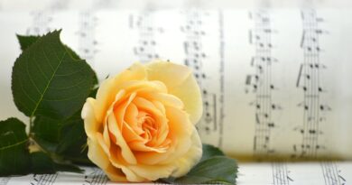 Fest der Stimmen in Hermagor