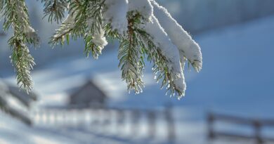 Welcome Winter Party