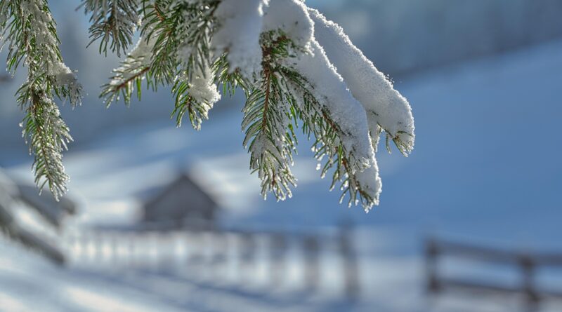 Welcome Winter Party