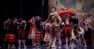 Don Quichotte