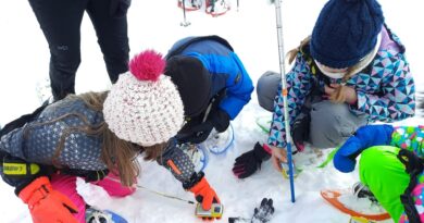 Schatzsuche im Schnee