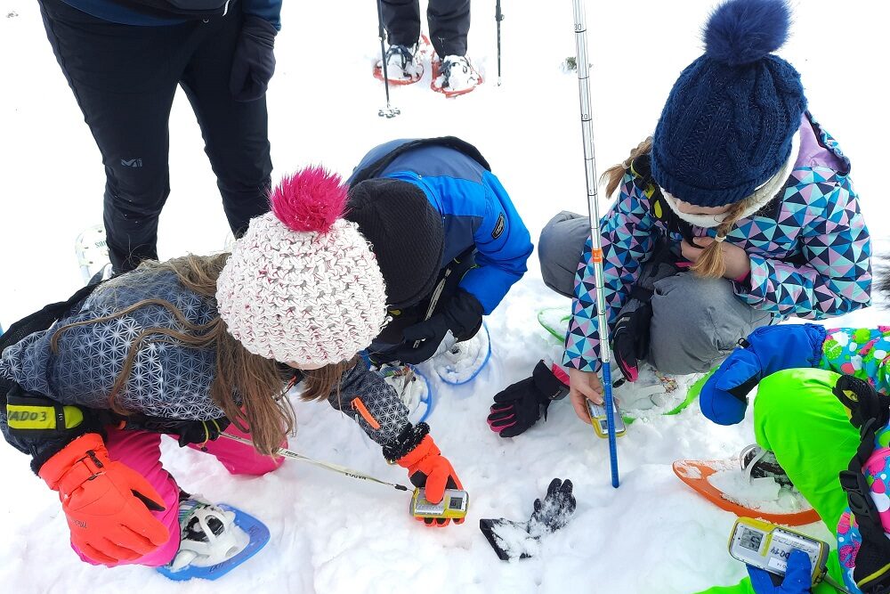 Schatzsuche im Schnee