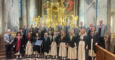 Seltenheimer Advent