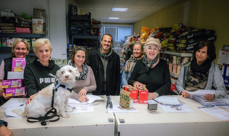 Weihnachts-Tiertafel