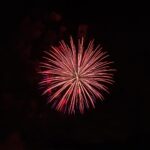 Christmas in your Heart Show