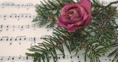 A capella Chor VIllach