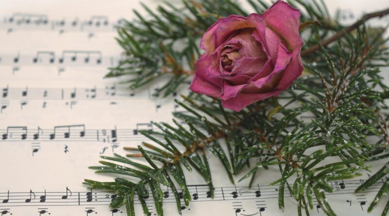 A capella Chor VIllach