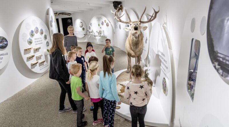 Besucherführung im BIOS