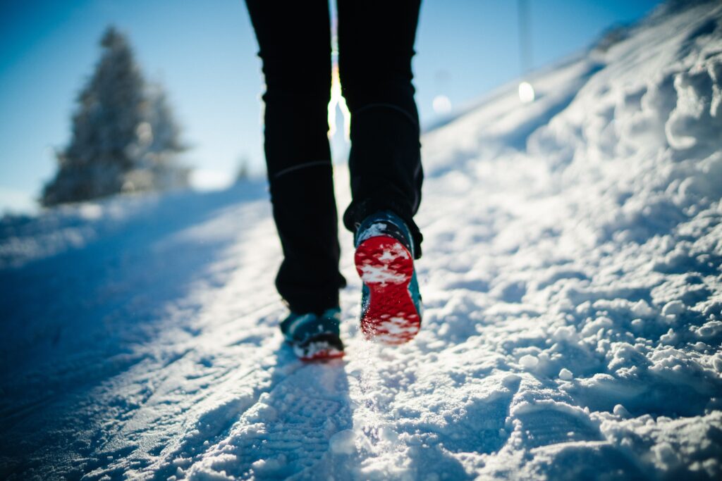 Gams- und Gipfelblick