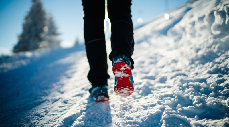 Gams- und Gipfelblick