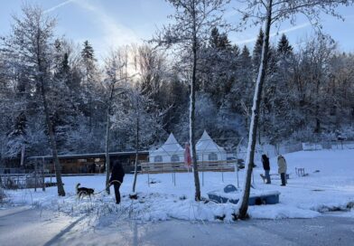 Zsomgwürfelt - Café Seerose