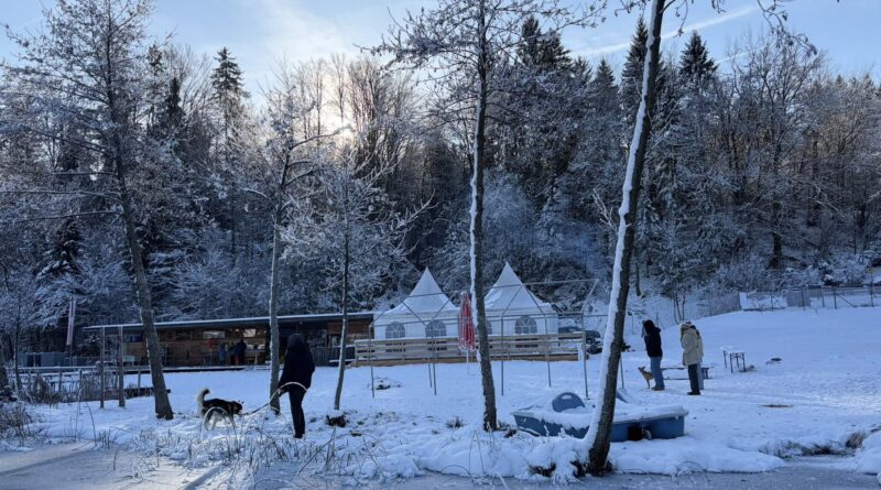 Zsomgwürfelt - Café Seerose