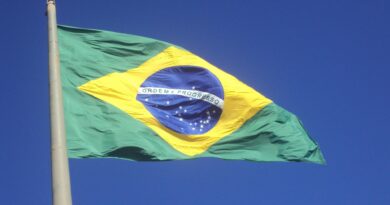 Brazilian Night