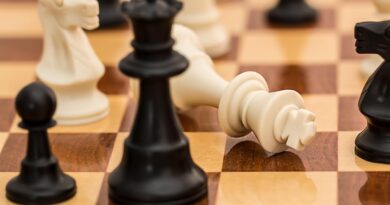 Schach spielen lernen