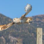 Vergünstigte Kärnten Card