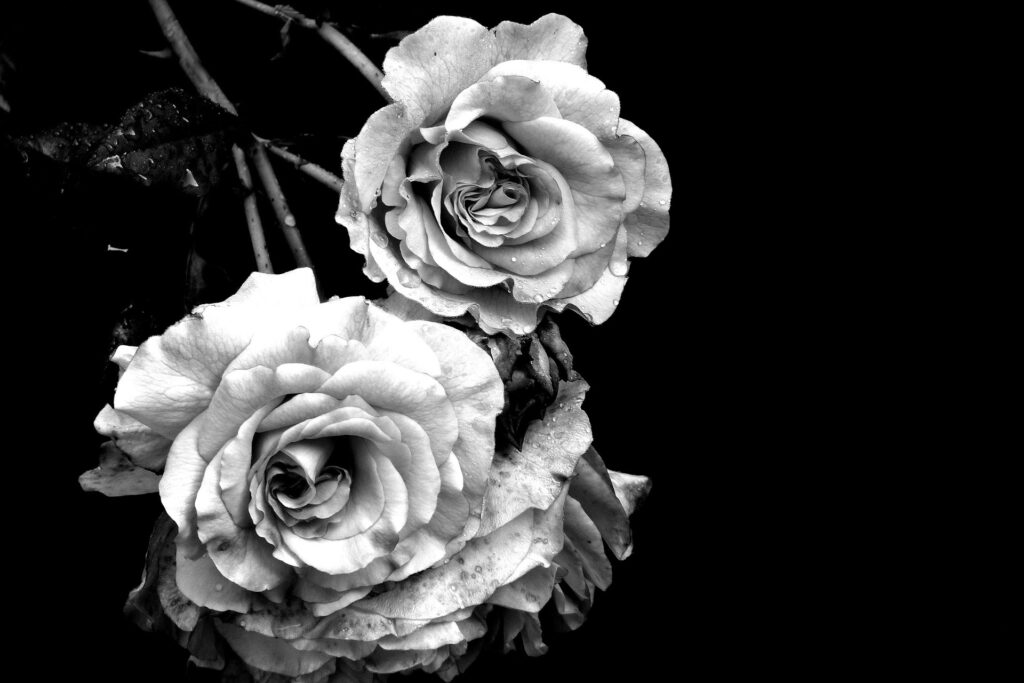 Gib deiner Trauer Raum