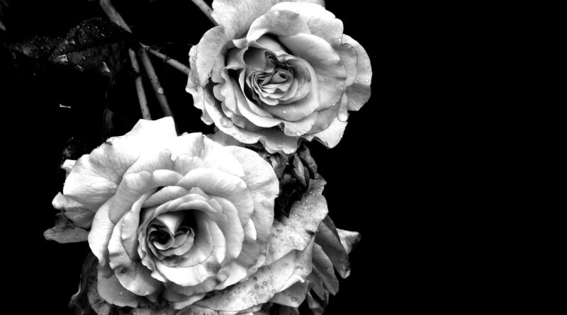 Gib deiner Trauer Raum