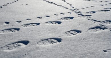 Schneeschuhwanderung