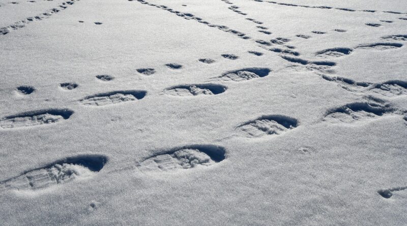 Schneeschuhwanderung