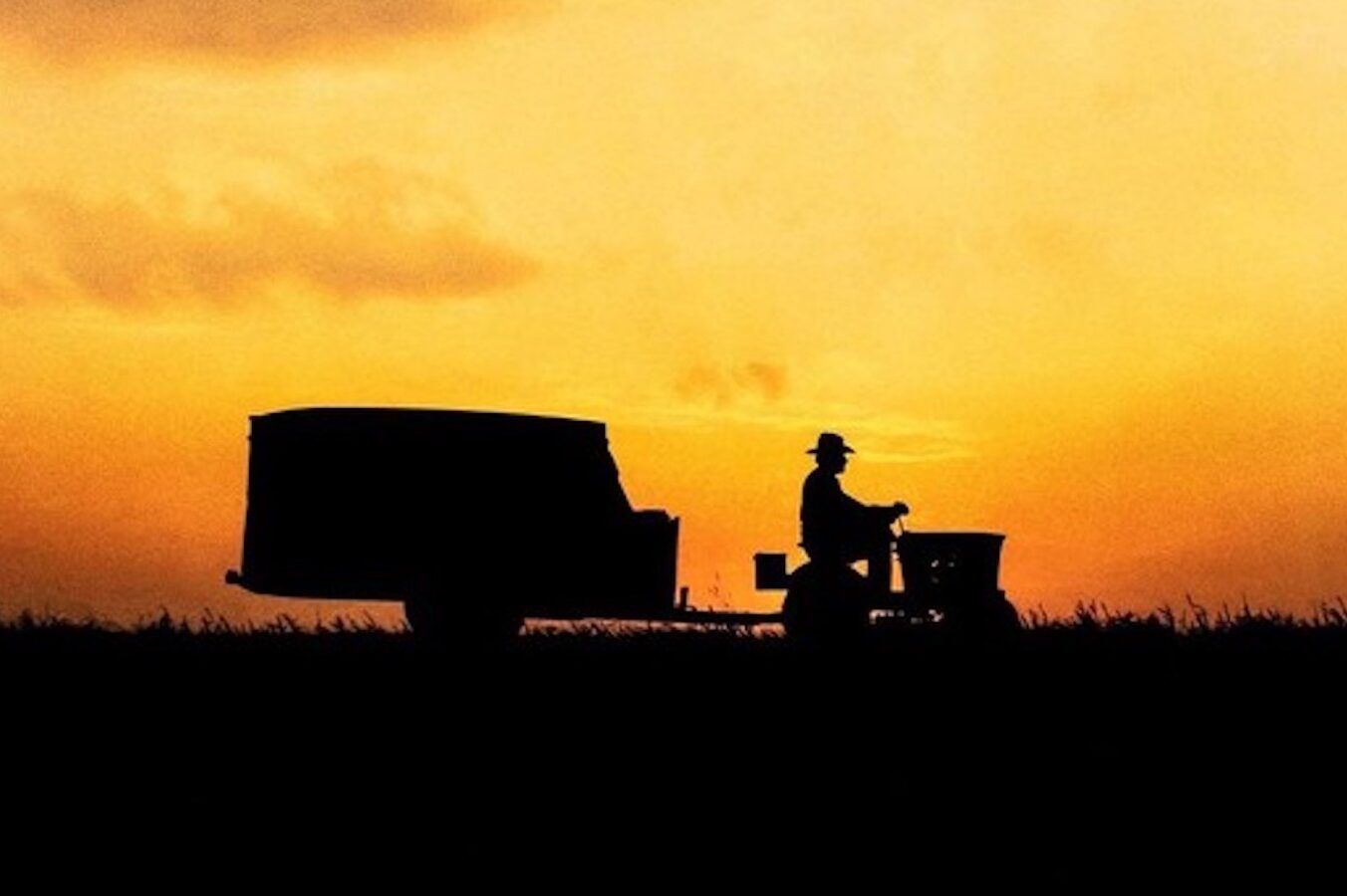 David Lynch im STEP Völkermarkt