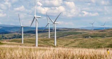 Info-Veranstaltung Erneuerbaren Energiegemeinschaft Villach