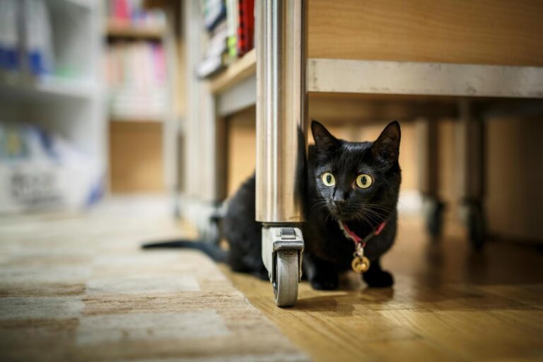 Vorlesestunde in der Buchhandlug Heyn