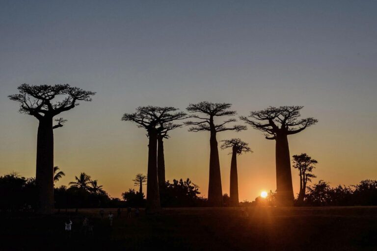 Multimediavortrag: Madagaskar