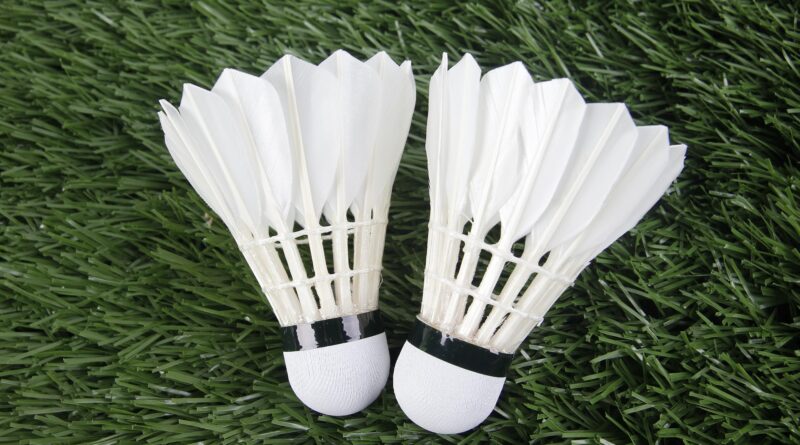 Wolfsberger Bewegungsspass