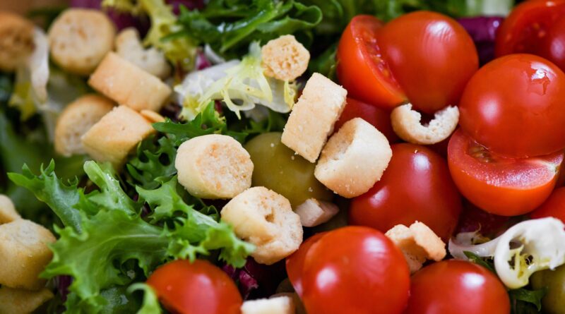 Bio Kids Entdeckungsmission