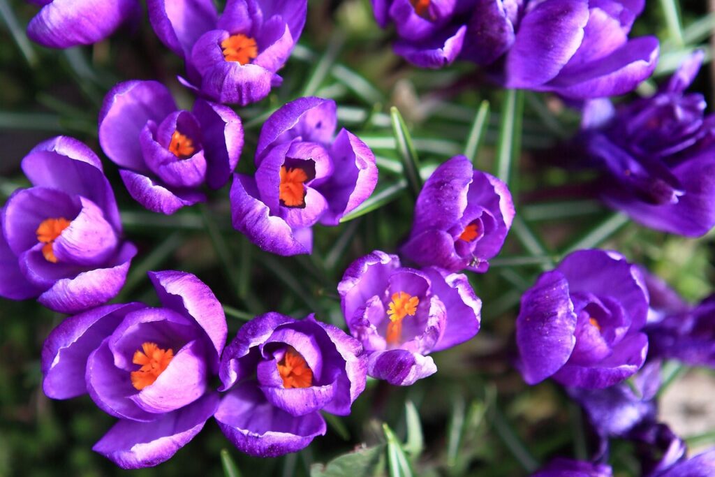 Ist das persönliche Glück im Garten zu finden?