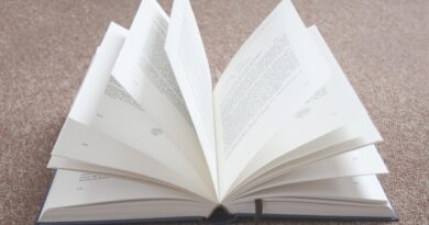 Lesung: Ungewöhnlich gewöhnlich