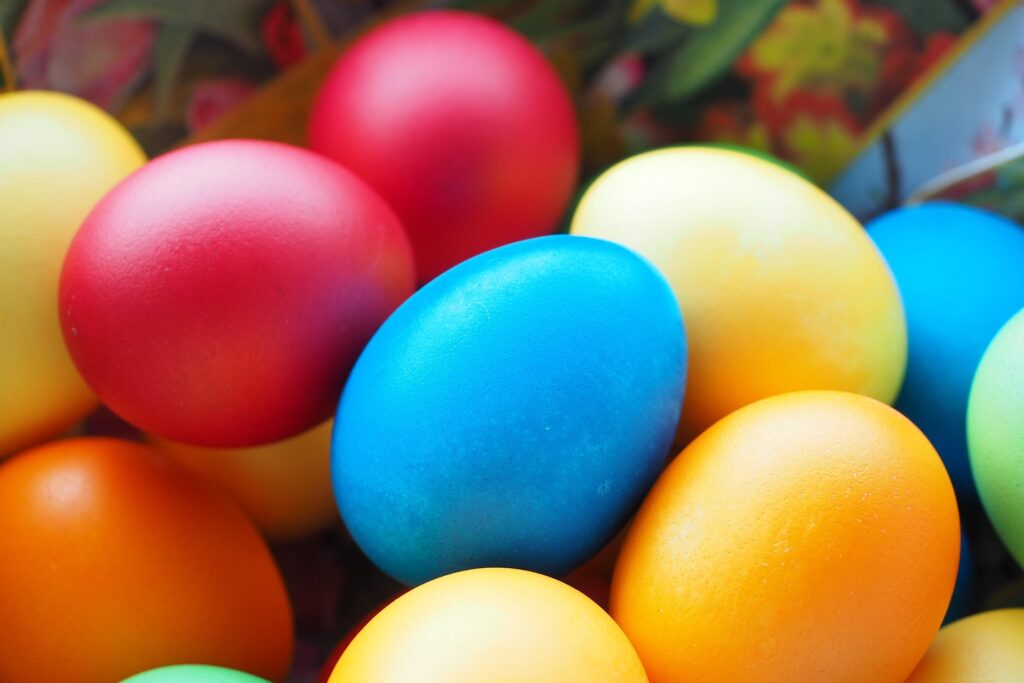 Bio-Kids auf Farbexpedition