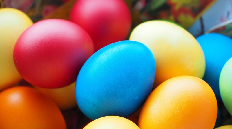 Bio-Kids auf Farbexpedition